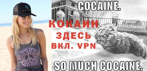 спайс Богородицк