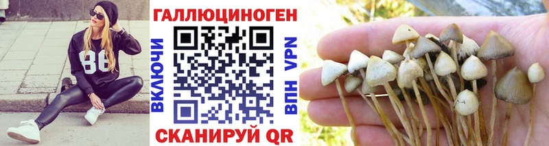 Галлюциногенные грибы мицелий Оса